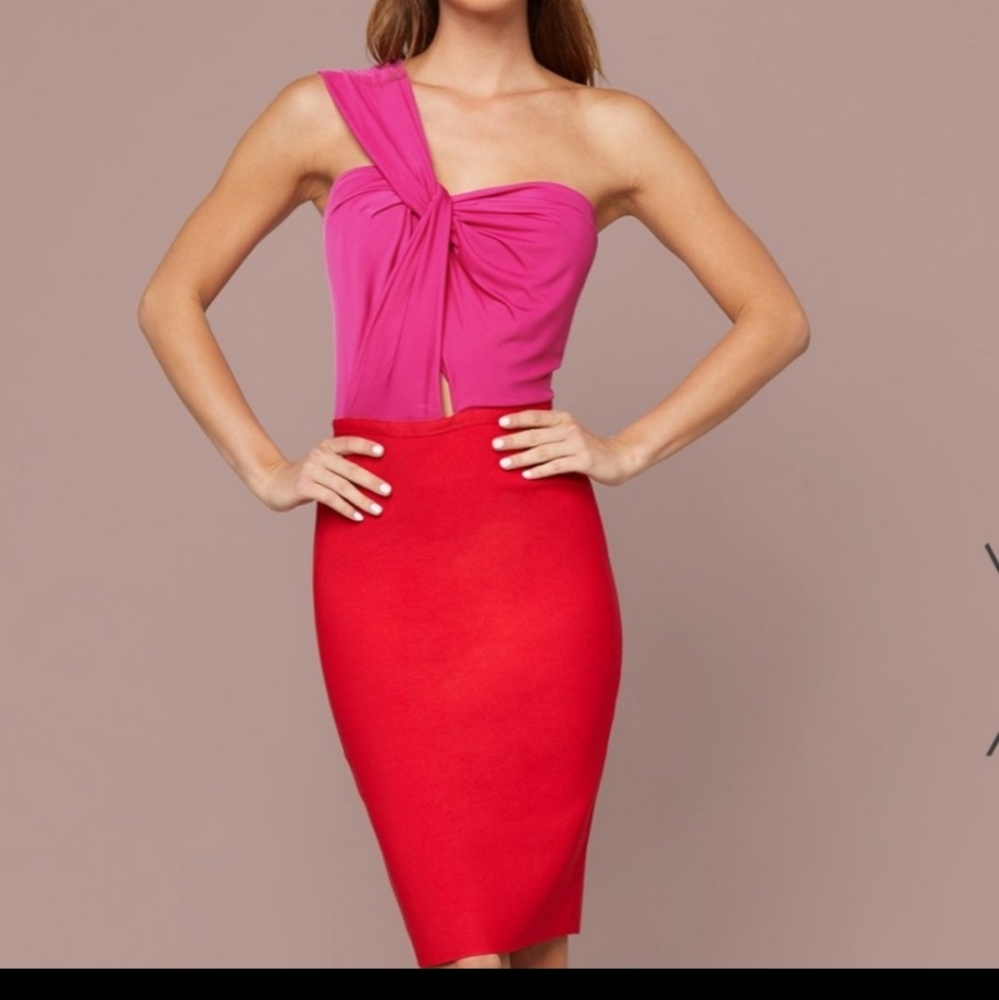 Bebe Colorblock Dress..worn once.